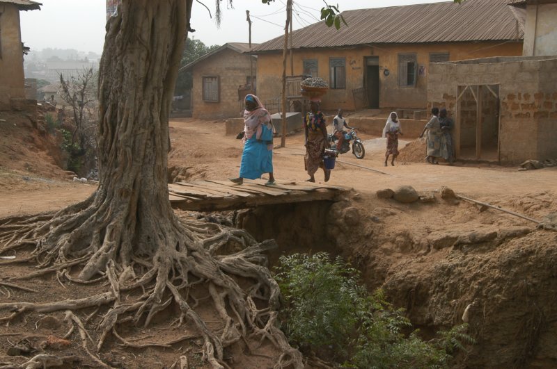 africa.jpg