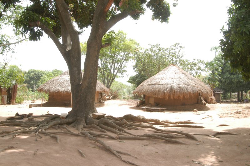 africanhuts.jpg