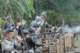 civilwarreinactment2_small.jpg