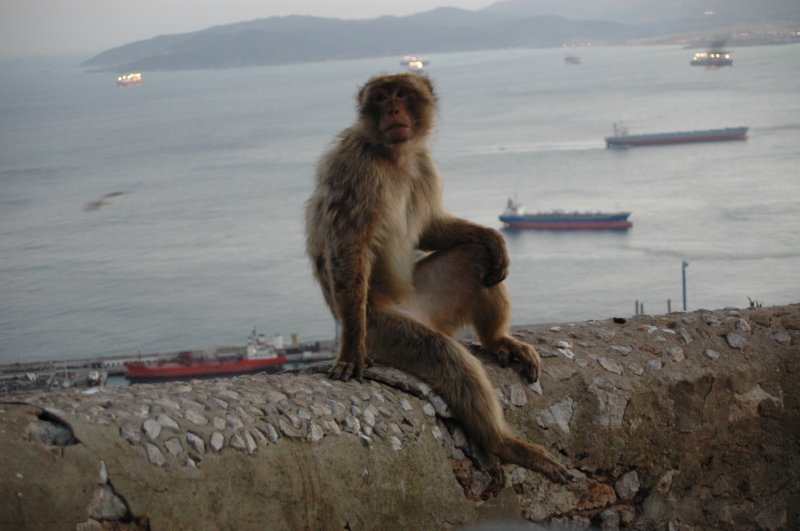 gibralter078.jpg