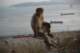 gibralter078_small.jpg