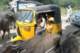 indiacattledrive_small.jpg