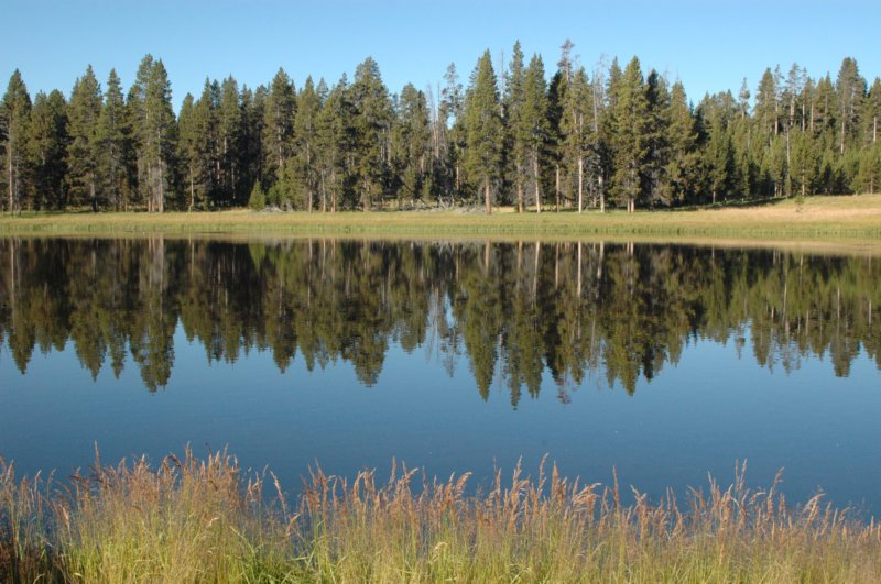 reflections.jpg