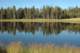 reflections_small.jpg