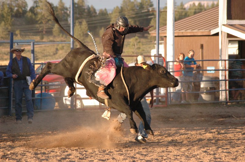 rodeo.jpg