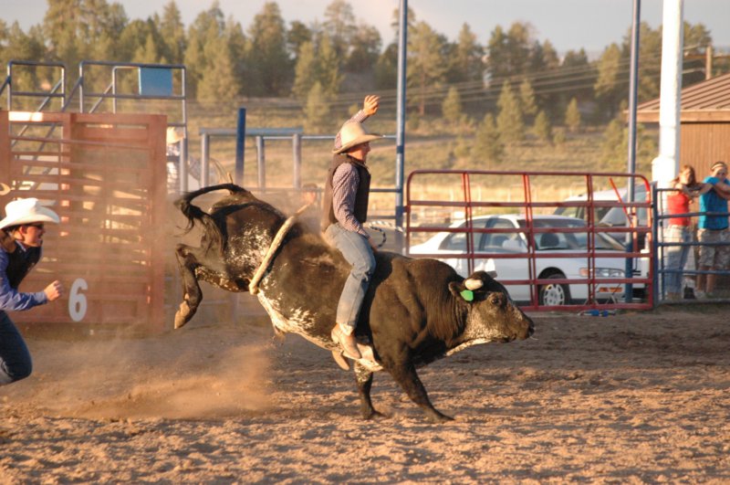 rodeo2.jpg