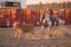 rodeo3_small.jpg