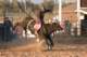 rodeo_small.jpg